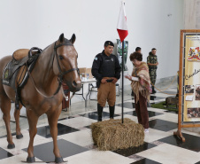 Exposição da PM e atividades educativas abrem 2ª Corrida da Casa Militar  -  Curitiba, 24/05/2019  -  Foto: José Fernando Ogura/ANPr