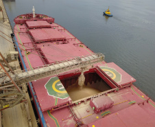 O Porto de Paranaguá vai movimentar nesta semana a maior quantidade de grãos para exportação da história. O navio chinês Lan Hua Hai chega nesta segunda-feira (27) no porto paranaense e vai receber 90 mil toneladas de farelo de soja ? o equivalente a cerca de 2,5 mil carretas carregadas. A previsão é que a operação dure quatro dias.  -  Paranaguá, 28/05/2019  -  Foto: José Fernando Ogura/ANPr