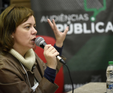 A Superintendente de Cultura Luciana Casagrande Pereira falou sobre os principais projetos para 2019.Crédito: Kraw Penas/SECC