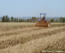 Plantio direto como prática de preservação do meio ambiente.  -  Foto:  Cézar Francisco Araujo Júnior/Iapar