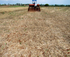 Plantio direto como prática de preservação do meio ambiente.  -  Foto:  Cézar Francisco Araujo Júnior/Iapar