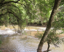 Em comemoração ao Dia Mundial do Meio Ambiente (5 de junho), o Rio Pato Branco é alvo de ações do grupo de trabalho de  preservação e conservação de mananciais de abastecimento da Sanepar na região de Pato Branco.  -  Pato Branco, 03/06/2019  -  Foto: Divulgação Sanepar