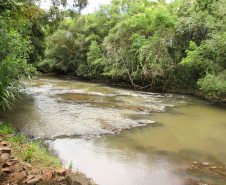 Em comemoração ao Dia Mundial do Meio Ambiente (5 de junho), o Rio Pato Branco é alvo de ações do grupo de trabalho de  preservação e conservação de mananciais de abastecimento da Sanepar na região de Pato Branco.  -  Pato Branco, 03/06/2019  -  Foto: Divulgação Sanepar