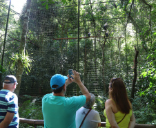 04/2019 - Foz do Iguaçu - Parque das Aves. Foto: José Fernando Ogura/ANPr