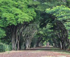  Itaipulândia. Foto: José Fernando Ogura/ANPr
