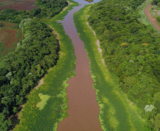 Londrina - Parque Ecológico. Foto: José Fernando Ogura/ANPr
