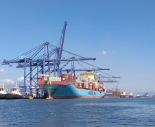 Movimentação Porto de Paranaguá  -  Paranaguá, 10/06/2019  -  Foto: Cláudio Neves/APPA