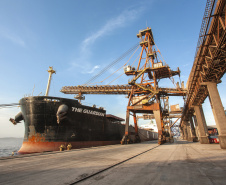Movimentação Porto de Paranaguá  -  Paranaguá, 10/06/2019  -  Foto: Cláudio Neves/APPA
