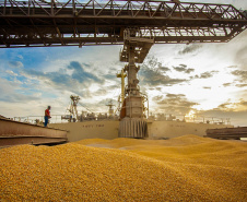 Movimentação Porto de Paranaguá  -  Paranaguá, 10/06/2019  -  Foto: Cláudio Neves/APPA
