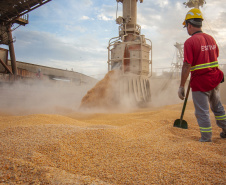 Movimentação Porto de Paranaguá  -  Paranaguá, 10/06/2019  -  Foto: Cláudio Neves/APPA