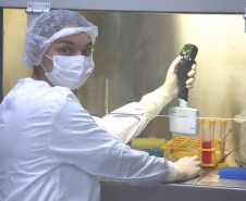 Dissertação de mestrado desenvolvida por uma farmacêutica do Instituto de Tecnologia do Paraná (Tecpar) busca reduzir o prazo e o custo para a produção da vacina antirrábica, patenteada recentemente pelo instituto. O estudo desenvolvido pela analista de biotecnologia industrial Beatriz Lourenço Correia Moreira propõe a realização de ensaio in vitro na etapa do controle interno da vacina, evitando a utilização de animais.  -  Curitiba, 11/06/2019  -  Foto: Divulgação Tecpar