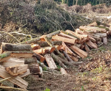 Fiscais do Instituto Ambiental do Paraná (IAP), regional de União da Vitória, identificaram nessa quinta-feira (13), no município de Paulo Frontin, uma área de corte de vegetação nativa ilegal, equivalente a 1,43 hectares de desmate.   União da Vitória, 13/06/2019  -  Foto: Divulgaação IAP
