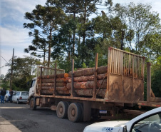 Fiscais do Instituto Ambiental do Paraná (IAP), regional de União da Vitória, identificaram nessa quinta-feira (13), no município de Paulo Frontin, uma área de corte de vegetação nativa ilegal, equivalente a 1,43 hectares de desmate.   União da Vitória, 13/06/2019  -  Foto: Divulgaação IAP