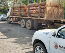 Fiscais do Instituto Ambiental do Paraná (IAP), regional de União da Vitória, identificaram nessa quinta-feira (13), no município de Paulo Frontin, uma área de corte de vegetação nativa ilegal, equivalente a 1,43 hectares de desmate.   União da Vitória, 13/06/2019  -  Foto: Divulgaação IAP