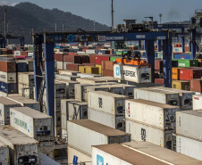 Mais de 38% de todo o frango congelado exportado pelo Brasil, em 2019, saiu do país pelo Porto de Paranaguá. De janeiro a maio, as vendas de carne de frango brasileira somaram 1,6 milhão de toneladas. Deste total, 637,6 mil toneladas foram movimentadas no porto paranaense. Foto: Claudio Neves/Portos do Paraná