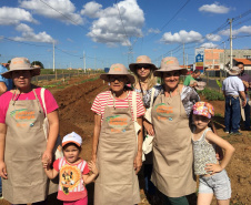 Programa social da Copel recebe reconhecimento nacional. Foto: Divulgação/Copel