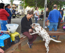 A Secretaria de Estado do Desenvolvimento Sustentável e do Turismo, em parceria com a Prefeitura de Pontal do Paraná, promove uma ação para castração gratuita de cães e gatos do município, incluindo a Ilha do Mel. Foto: Denis Ferreira Netto/SEDEST