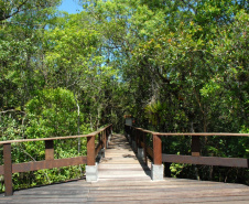 Parque Estadual Rio da Onça. Foto: Arnaldo Alves/ANPr