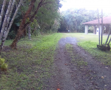 Parque Estadual do Palmito. Foto: Divulgação/IAP