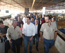 Governador Carlos Massa Ratinho Junior visita o 5º Show Pecuário de Cascavel. 23/07/2019. Foto: José Fernando Ogura/ANPr