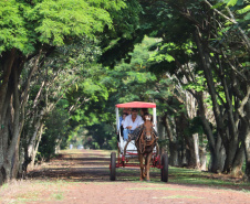 Hotel Fazenda Itacorá. Itaipulândia. Foto: José Fernando Ogura/ANPr