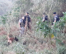 PM realiza operação contra facções criminosas em 40 cidades. Foto:PMPR