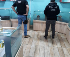 A Polícia Civil do Paraná (PCPR) cumpriu 11 mandados de busca e apreensão nesta terça-feira (13) em endereços ligados a uma rede de pet shops. Sócios e funcionários da empresa são suspeitos por maus-tratos a animais, estelionato e falsificação de documentos privados. Foto: Divulgação/Polícia Civil