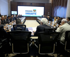 A passagem da comitiva paranaense, liderada pela vice-governador Darci Piana, na semana passada, pela República Tcheca já rende acordos para o Estado