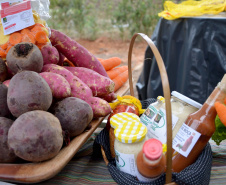 Agudos do Sul, na Região Metropolitana de Curitiba, inaugurou na tarde desta quinta-feira (5) a primeira Unidade de Alimentos Minimamente Processados, espaço para promover o desenvolvimento e o crescimento econômico das famílias rurais, gerando emprego e aumento de renda.
O secretário de Estado da Agricultura e do Abastecimento, Norberto Ortigara, destacou a importância da produção de alimentos de qualidade e elogiou a capacidade de organização da comunidade local. Foto: Gisele Barão/SEAB