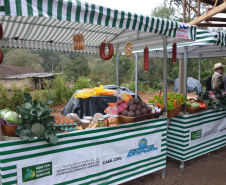 Agudos do Sul, na Região Metropolitana de Curitiba, inaugurou na tarde desta quinta-feira (5) a primeira Unidade de Alimentos Minimamente Processados, espaço para promover o desenvolvimento e o crescimento econômico das famílias rurais, gerando emprego e aumento de renda.
O secretário de Estado da Agricultura e do Abastecimento, Norberto Ortigara, destacou a importância da produção de alimentos de qualidade e elogiou a capacidade de organização da comunidade local. Foto: Gisele Barão/SEAB