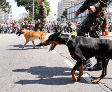 Aproximadamente 20 mil pessoas acompanharam neste sábado (7), em Curitiba, o desfile cívico-militar que comemora os 197 anos da Proclamação da Independência, segundo estimativas da Polícia Militar do Paraná. O governador Carlos Massa Ratinho Junior assistiu a solenidade de 7 de Setembro na Avenida Cândido de Abreu, acompanhado de sua família, do comandante da 5ª Divisão do Exército, general de divisão José Russo Assumpção Delgado, do vice-governador Darci Piana e de diversas autoridades.
