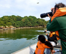 Dentro dos programas ambientais executados pela empresa Portos do Paraná nas baías de Paranaguá e Antonina, foi realizado quarta-feira (11) o monitoramento de avifauna, embarcado. Foto: Divulgação/Portos do Paraná