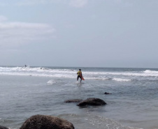 A Paraná Turismo apoiou com divulgação e marketing o evento neste fim de semana na Ilha do Mel. Surfistas profissionais desembarcaram na Ilha do Mel para mais uma etapa válida pelo Campeonato Brasileiro de Surfe. O Cattalini apresenta: Eco Ilha Surf Pro 2019 reuniu a elite do esporte nacional na disputa pelos 3 mil pontos no ranking e pelos R$ 30 mil em dinheiro, a maior premiação da história do surfe na categoria masculino, no Paraná. Foto:Kelly Frizo/Divulgação Esporte Paraná