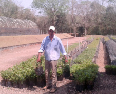 Programa Paraná Mais Verde. Foto: Divulgação/SEDEST