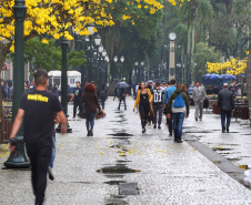 A primavera começa às 4h50 desta segunda-feira, 23 de setembro, e termina à 1h19 de 22 de dezembro. Segundo a previsão do Simepar, no primeiro dia da estação as temperaturas serão amenas na maior parte do Paraná. As mínimas devem ficar entre 5 oC em Rio Negro e 17 oC em Guaíra. As máximas devem variar de 13 oC em Curitiba a 29 oC em Paranavaí e Umuarama. Foto: José Fernando Ogura/AEN