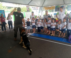 Feira de Serviços registra mais de 14 mil atendimentos em Jandaia do Sul. Foto: Divulgação/SEJUF