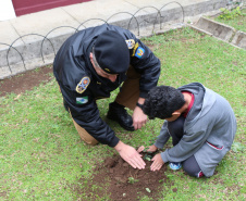 Curitiba, 23 de setembro de 2019. Programa Parana Verde. Foto: Comandante Geral do Policia Militar planta arvore no Colegio Estadual Santo antonio.