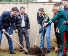 O governador Carlos Massa Ratinho Junior participou nesta segunda-feira (23), do plantio de árvores no Colégio Estadual Professora Maria Gai Grendel, no bairro Caximba, em Curitiba. O evento marcará o início do programa Paraná mais Verde, que vai incentivar o plantio de mudas de árvores nativas em todo o Estado. 