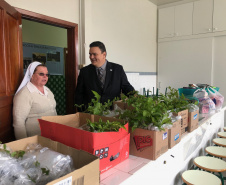 A Escola Estadual Dom Pedro II, na área rural de Campo Largo, na Região Metropolitana de Curitiba, ficará mais arborizada. Na segunda-feira (23), pelo Programa Paraná Mais Verde, de arborização rural e urbana, o controlador-geral do Estado, Raul Siqueira, e a chefe do Núcleo Regional de Educação da Área Metropolitana Sul, Chayane Callegalim Rocha, plantaram uma árvore na instituição de ensino. Foto:Divulgação/CGE