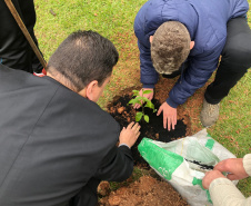 A Escola Estadual Dom Pedro II, na área rural de Campo Largo, na Região Metropolitana de Curitiba, ficará mais arborizada. Na segunda-feira (23), pelo Programa Paraná Mais Verde, de arborização rural e urbana, o controlador-geral do Estado, Raul Siqueira, e a chefe do Núcleo Regional de Educação da Área Metropolitana Sul, Chayane Callegalim Rocha, plantaram uma árvore na instituição de ensino. Foto:Divulgação/CGE