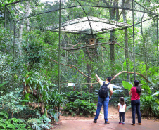 04/2019 - Foz do Iguaçu - Parque das Aves. Foto: José Fernando Ogura/AEN