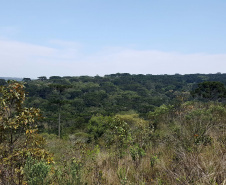 Uma equipe técnica do Instituto Ambiental do Paraná (IAP) fez vistorias de monitoramento em nove Reservas Particulares do Patrimônio Natural (RPPNs). As vistorias estão previstas no Projeto de Pagamento por Serviços Ambientais (PSA) - edital nº 01/2018 para verificar se as ações estabelecidas no Projeto Individual da Propriedade (PIP) estão sendo cumpridas pelos proprietários dessas áreas. Foto: Divulgação/IAP