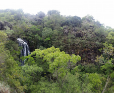 Uma equipe técnica do Instituto Ambiental do Paraná (IAP) fez vistorias de monitoramento em nove Reservas Particulares do Patrimônio Natural (RPPNs). As vistorias estão previstas no Projeto de Pagamento por Serviços Ambientais (PSA) - edital nº 01/2018 para verificar se as ações estabelecidas no Projeto Individual da Propriedade (PIP) estão sendo cumpridas pelos proprietários dessas áreas. Foto: Divulgação/IAP