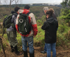 Uma equipe técnica do Instituto Ambiental do Paraná (IAP) fez vistorias de monitoramento em nove Reservas Particulares do Patrimônio Natural (RPPNs). As vistorias estão previstas no Projeto de Pagamento por Serviços Ambientais (PSA) - edital nº 01/2018 para verificar se as ações estabelecidas no Projeto Individual da Propriedade (PIP) estão sendo cumpridas pelos proprietários dessas áreas. Foto: Divulgação/IAP