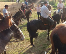 Um dos passeios mais alternativos do Paraná é o roteiro Caminhos do Guajuvira, em Araucária, na Região Metropolitana de Curitiba, onde os prédios dão espaço para a história e a vida no campo. O roteiro completo recebeu mais de 10 mil turistas desde a sua abertura, em 2004, e faz parte do planejamento turístico do Estado de explorar também os potenciais pouco conhecidos da Grande Curitiba. Foto: Eusébio Scherreir.