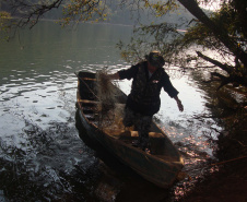 O Instituto Ambiental do Paraná (IAP) anuncia o período de restrição à pesca de espécies nativas no Paraná a partir desta sexta-feira (01) e segue até março de 2020. Todas as espécies nativas do Estado são protegidas, como bagre, dourado, jaú, pintado e lambari. É durante esse período, conhecido como piracema, que a maioria delas se reproduz. Foto: Arquivo/IAP