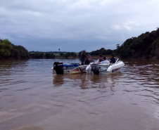 O Instituto Ambiental do Paraná (IAP) anuncia o período de restrição à pesca de espécies nativas no Paraná a partir desta sexta-feira (01) e segue até março de 2020. Todas as espécies nativas do Estado são protegidas, como bagre, dourado, jaú, pintado e lambari. É durante esse período, conhecido como piracema, que a maioria delas se reproduz. Foto: Arquivo/IAP