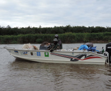 O Instituto Ambiental do Paraná (IAP) anuncia o período de restrição à pesca de espécies nativas no Paraná a partir desta sexta-feira (01) e segue até março de 2020. Todas as espécies nativas do Estado são protegidas, como bagre, dourado, jaú, pintado e lambari. É durante esse período, conhecido como piracema, que a maioria delas se reproduz. Foto: Arquivo/IAP