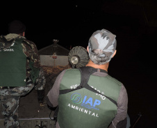 O Instituto Ambiental do Paraná (IAP) anuncia o período de restrição à pesca de espécies nativas no Paraná a partir desta sexta-feira (01) e segue até março de 2020. Todas as espécies nativas do Estado são protegidas, como bagre, dourado, jaú, pintado e lambari. É durante esse período, conhecido como piracema, que a maioria delas se reproduz. Foto: Arquivo/IAP