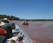 O Instituto Ambiental do Paraná (IAP) anuncia o período de restrição à pesca de espécies nativas no Paraná a partir desta sexta-feira (01) e segue até março de 2020. Todas as espécies nativas do Estado são protegidas, como bagre, dourado, jaú, pintado e lambari. É durante esse período, conhecido como piracema, que a maioria delas se reproduz. Foto: Arquivo/IAP